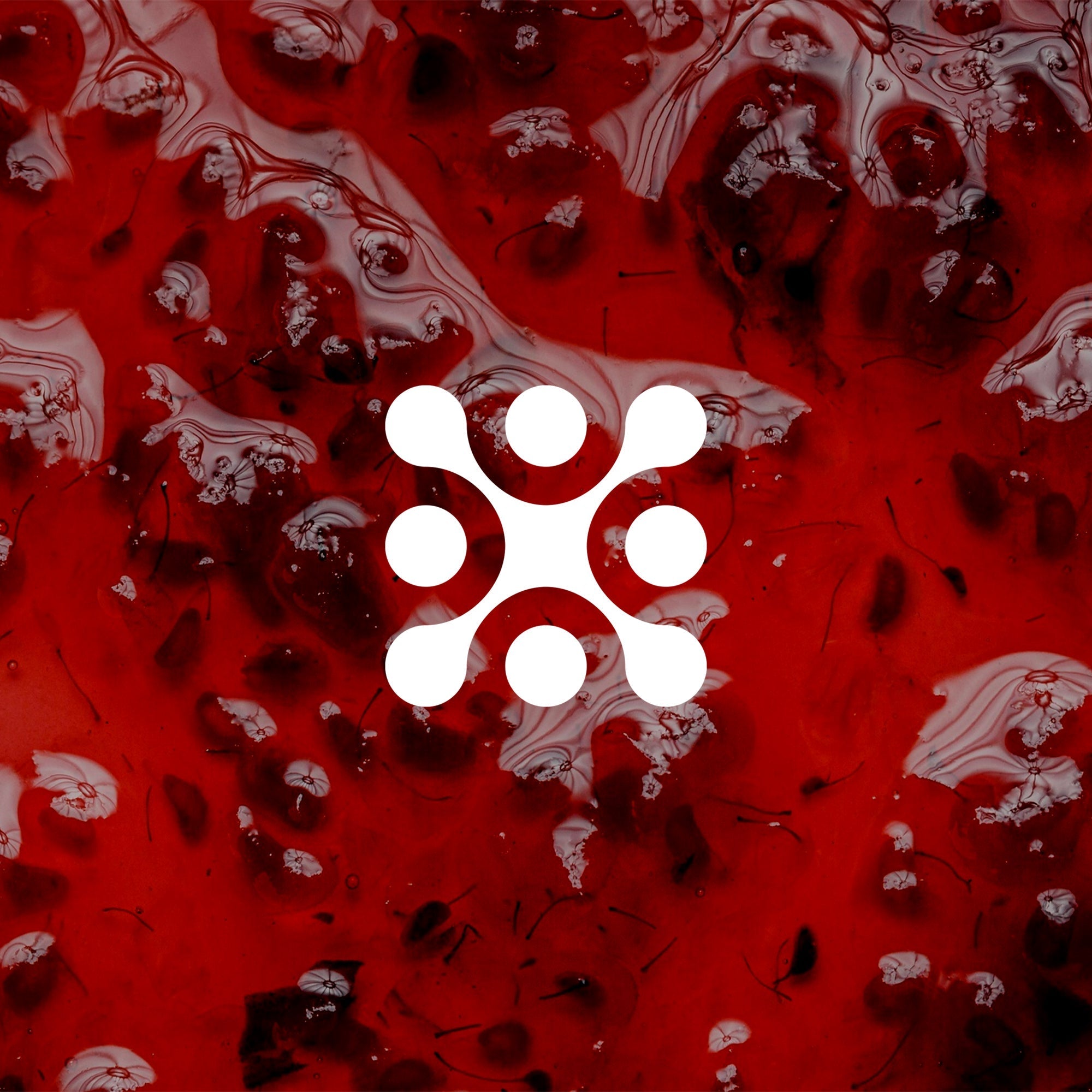 Aidan Rudd - Bayle - OBSCUUR