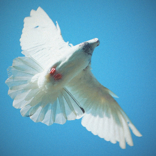 DJ KICKBOX - In my Spirit (Back to Church) - OBSCUUR