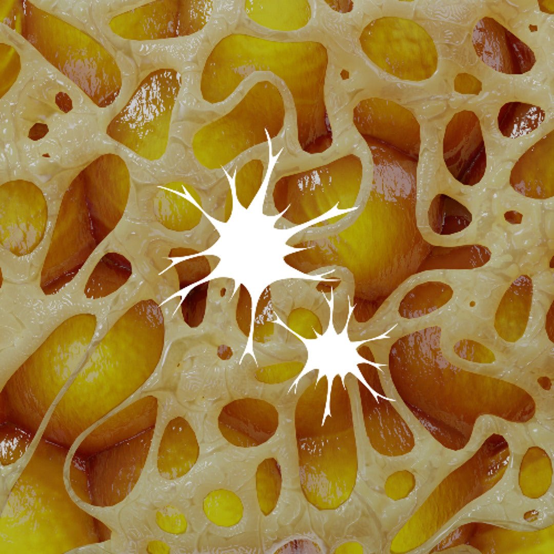 øxyde - Shiny Object Syndrome - OBSCUUR