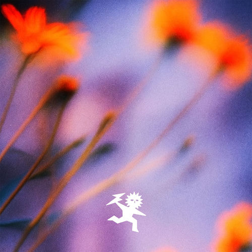 Nuks – Check It Out cover art